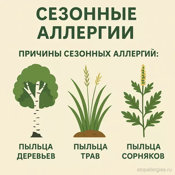 Сезонные аллергии